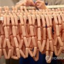 사람들이 소시지를 많이 먹는다…"경기악화 신호" 이미지