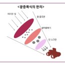 피해자 분들만 제 글 끝까지 보시고 꼭 기억해두세요. 대한민국 국가기관에서 민간인한테 뭘 하고 있는건지 정확하게 기억 하세요. 이미지