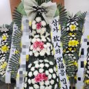 여니플로라 이미지