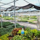 진장농장 이미지