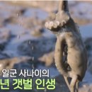 사강식당 이미지