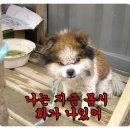 [펌]11번가 고객센터 상담원과 통화한 사연-0- 이미지