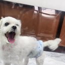 유니독스 이미지