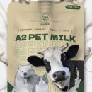 채릇채릇 이미지