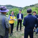 브레이크뉴스강원