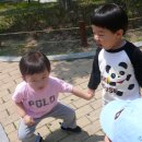 황금지구대 이미지