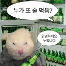 술고래 - 울릉군 울릉순환로 216-1 | 술고래