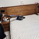 🛏️침대 매트리스 청소 "쿠쿠홈시스 양산직영점" 후기✨