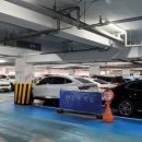 풍년종묘농약사 이미지