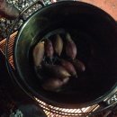 성남가족캠핑숲 이미지