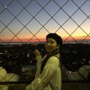 베니스약국 | 베네치아 가볼만한곳 다 다녀온 베니스 여행루트 공유