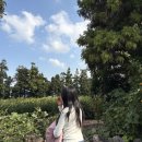 성산식당&국수면전문점 | 성산일출봉 근처 식당‘국수인가갈치인가’ 뼈없는갈치|무료 귤체험