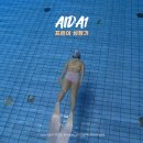 프린래쉬 | 프린이 일기｜AIDA1 프리다이빙 자격증 취득 완료 취미생활시작