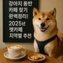 한옥예술유치원 | 강아지 동반 카페 찾기 완벽정리! 2025년 펫카페 지역별 추천