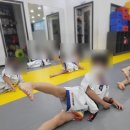 하나린태권도장 이미지