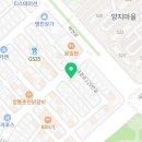 해피애견타운 강아지고양이 분당판교점 이미지