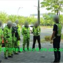진산임업 이미지