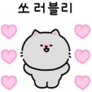 블룸블룸과천