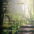 플라시보 효과 이미지