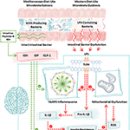Re:Re: Diet in Parkinson's Disease: Critical Role for the Microbiome 이미지