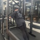 새싹피티 이미지