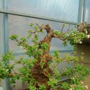 우목농원 이미지