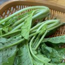 전평원 참한고기 이미지