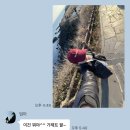 제주 혼자 놀기(25.01.21~22)