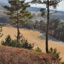 온그린 골프장 이미지