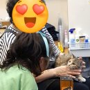 유이랑셰프