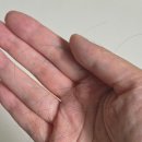 제로웨이스트 약산성 비누바 만들기 | 무해로움 약산성 샴푸바 트리트먼트바 임산부샴푸 추천