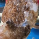 팔팔수산 이미지