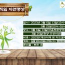 자연의 움직임 이미지