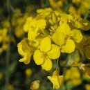 라온프라이빗타운 이미지