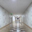 잉카모텔 | 대전 동구 숙소 추천, 한화생명볼파크 근처 잉카모텔 후기