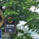 몽산포황토 이미지