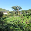 태극 당구장 이미지