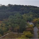 갤럭시공인중개사사무소 이미지