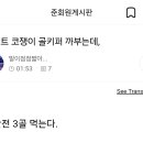 내가 말했지. 세골 먹는다고ㅋㅋ 이미지
