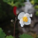 삽재농장 이미지