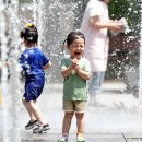 아이큰숲어린이집 이미지