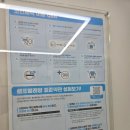 상쾌한운동화이불빨래처인점 | 용인코인빨래방 크린토피아 코인워시365 김량장점 : 세탁+건조 일체형 솔직 체험