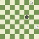 체크메이트 룩 이미지