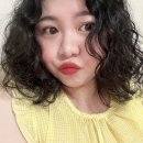 힙포헤어