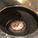 동덕연탄 이미지