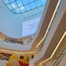 어메이징펫 | [파주 운정] 스타필드 빌리지 어메이징 방문후기 (할인,주차정보)