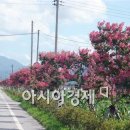 요천로(17호선) 이미지