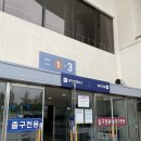 서울프리다이빙 아카데미센터 체험 후기