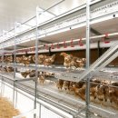 연암목장 이미지