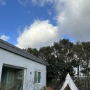 모멘토in애월 이미지